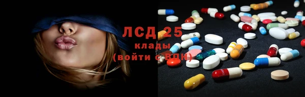 ALPHA PVP Остров