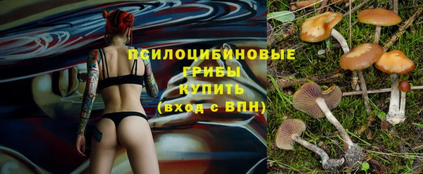 ALPHA PVP Остров