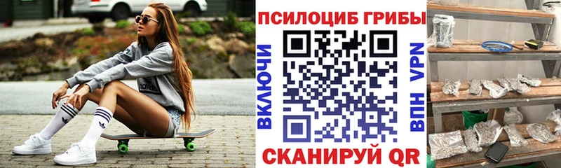Псилоцибиновые грибы Psilocybine cubensis blacksprut ТОР Ветлуга где можно купить наркотик