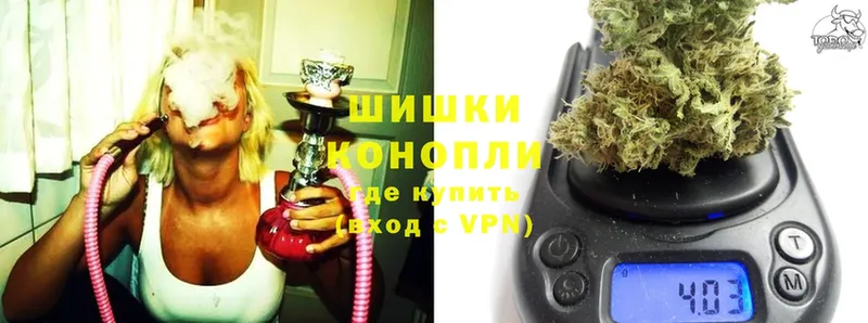 Канабис OG Kush  Ветлуга 